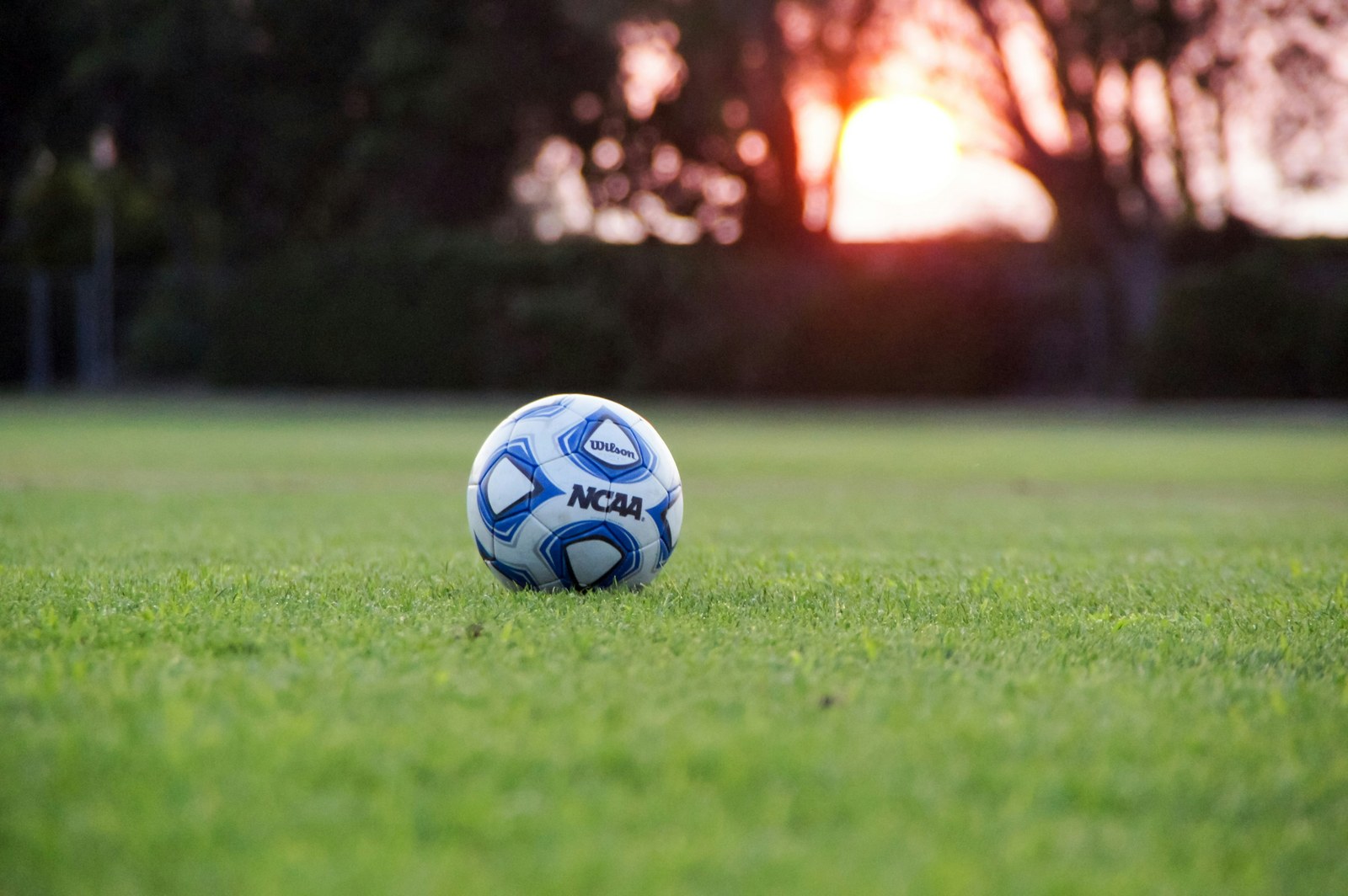 账号与同步